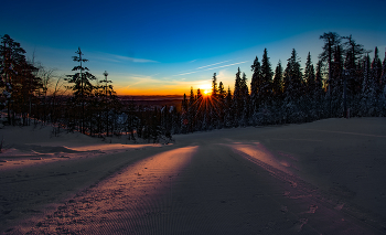 Утренние лучи / ***