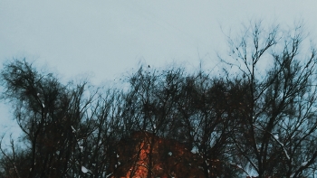 грачей с утра не стало больше / ***