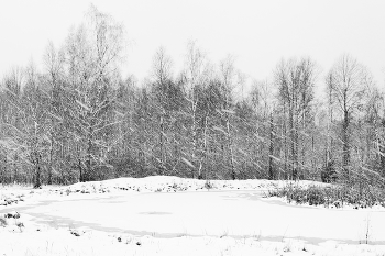 Метель ... / ***