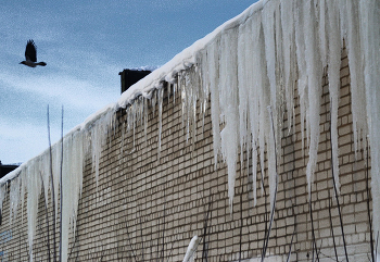 Застывшие крылья. / ***