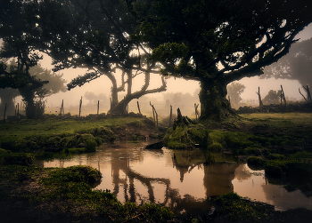 Волшебство Португалии... / ***
