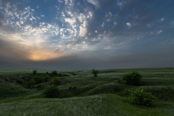 Изумрудная степь / ***