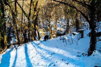 Зимняя поляна / Крым