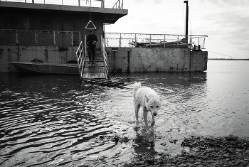 Большая вода. / ***