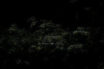 Царскосельские парки. Скамейки 3 / ...