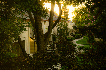 Золотой час / ....