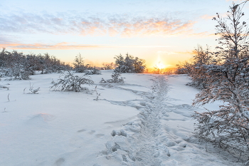тропка к солнышку / на сопках Мурманска