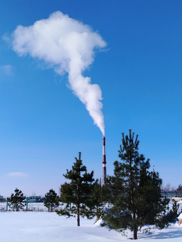 морозный денек / зима, солнце