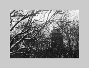 &nbsp; / январь