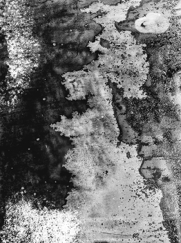 Пейзажизнь / ***