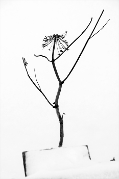 Пейзажизнь / ***