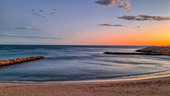 &nbsp; / L'Ametlla de Mar - platja - Baix Ebre
