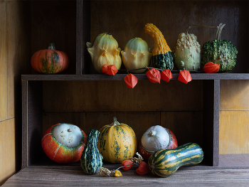 Осенний карнавал... / Тыковки.