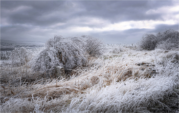 В ледяных оковах / После ледяного дождя