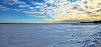 Зимнее утро / Карелия, Петрозаводск, 2026 год