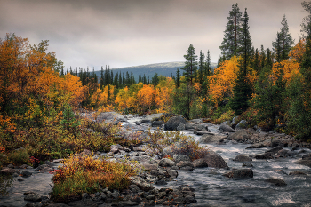 Осеннее дыхание Хибин / Кольский полуостров, Мурманская область, горный массив Хибины, река Гольцовка