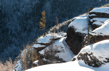 Воробушки / ***