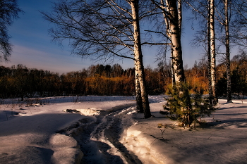 Зимним вечером. / Томская область.