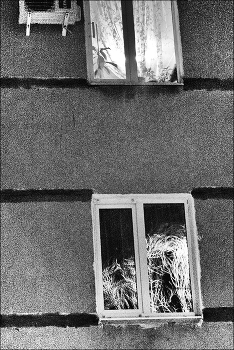 утренний этюд с фрагментом сплит-системы и растениями. комнатными и не очень. / M