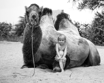 Поедем, красотка... / ***