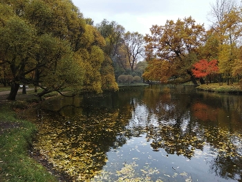 Екатерингоф 2 / Санкт-Петербург
