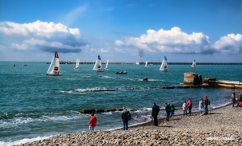 Регата (серия) / Небо, море, яхты,люди