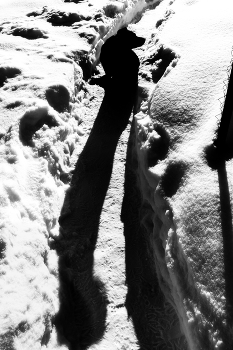 Пейзажизнь / ***