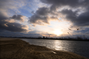 и настало утро / все мои сегодня со мной и Таня жена и наш замечательный пес. Все участвуют