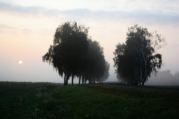 Время лунного Солнца / ***