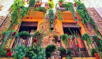 &nbsp; / Mont-roig del Camp - floral casa - Baix Camp