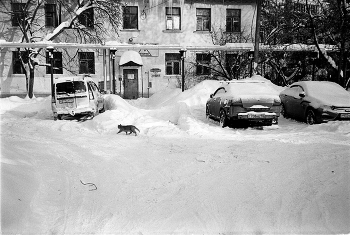 Сормовский дворик / Рекордные снегопады случились в наших краях этой зимой. Хотя, кажется, в детстве эти рекорды были каждую зиму.