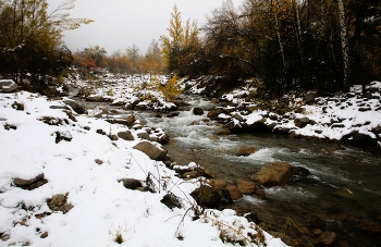 Брошенные осенью / ***