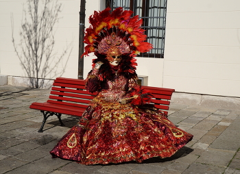 Жар-птица / ***