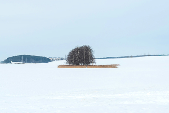 Февраль на озере / ***