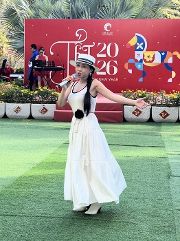 Вьетнамский Новый год / ***