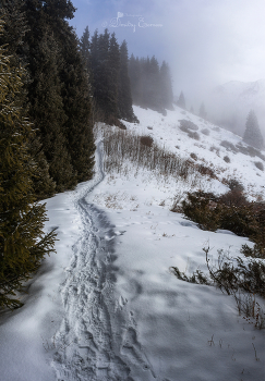 Горными тропами... / Ущелье Кимасар
Заилийский Алатау
