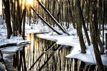 Речка Змейка / ***