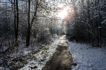 Первый снег / ***
