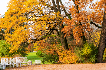Екатерининский парк осенью. / ***