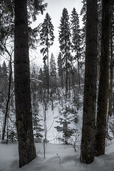 Ели / Где - то