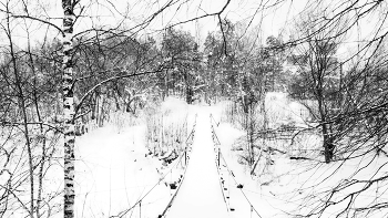 Жизнь вокруг / ***