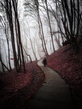 Прогулка в осень / Лесной массив Кизиловка. город Нальчик.