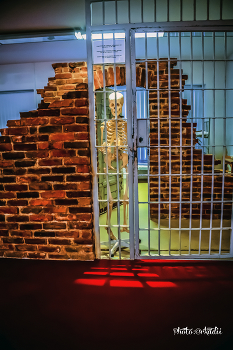 Привет. / Участник тематического конкурса 35AWARDS: Сюрреализм. По
результатам основного голосования работа автора вошла в TOP
30% лучших фотографий конкурса. Всего участие приняло 3442
человека из 107 стран и 1050 городов. В общей сложности на
конкурс было подано 15874 фотографии.