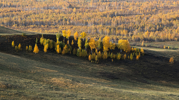 Уголок осени / Хакасия