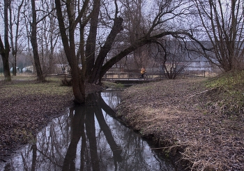 Ноябрьский сюжет из города С. / Серпухов, поздняя осень 2025 год. Речка Серпейка.