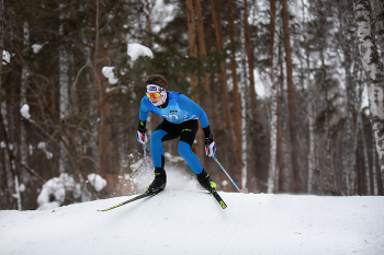 Лыжня / Лыжный спорт.