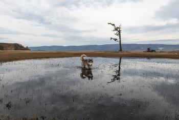 Хозяин Сарайского пляжа / ***