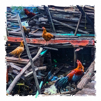 &nbsp; / на прогулке