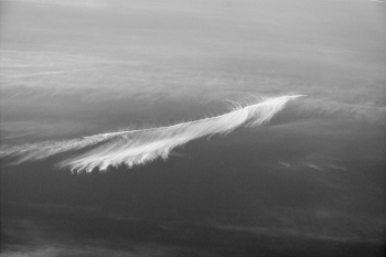 Жизнь вокруг / ***