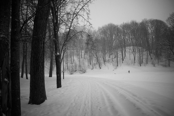 ч/б снегопад 10 / ***